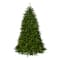 7.5ft. Pre-Lit Dunhill Fir® Artificial Christmas Tree, Spectrum Lights